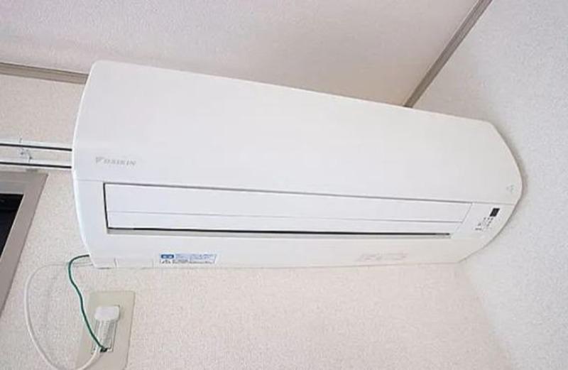 オリーブライト ※写真はイメージです