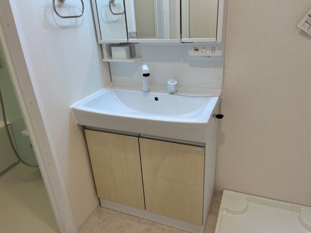 ブルー　スカイ（BLUE SKY） 洗髪洗面化粧台