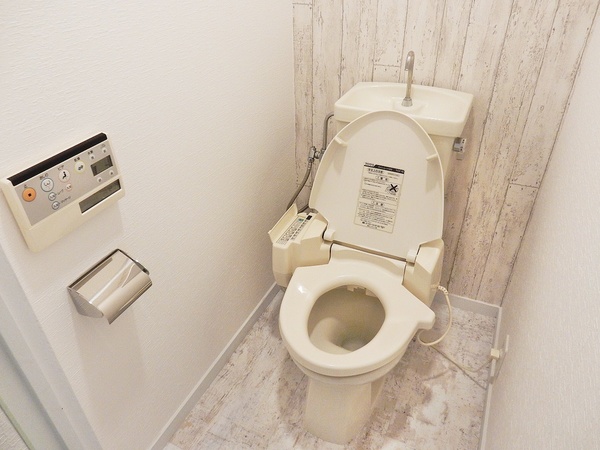 リリーハイツ101号室 同建物別部屋の参考画像