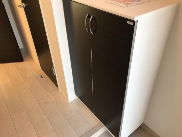 ケーズ  アバンティ101号室 収納