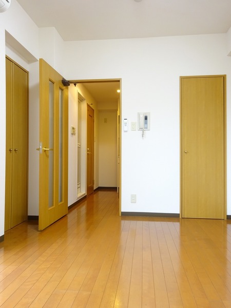 サンテミリオン田園調布南 リビング