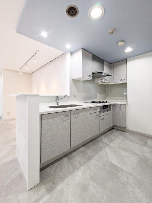 ハウス東雪谷2階 収納