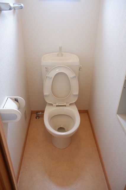 ソレーユ弦巻0203号室 トイレ