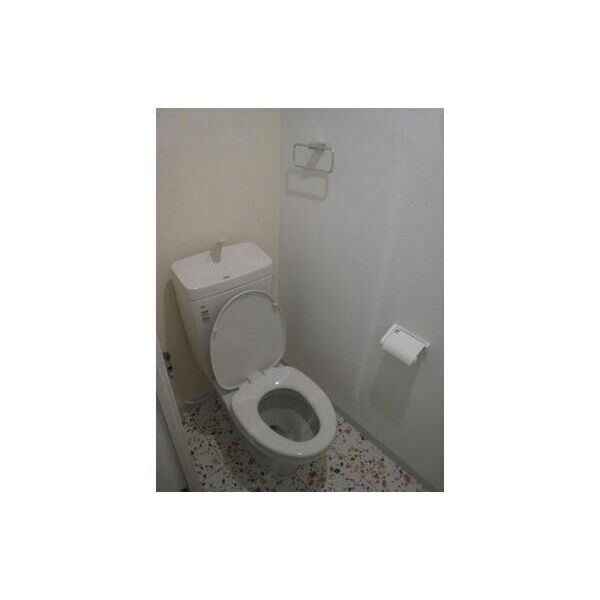 グランドールヤマグチ202号室 トイレ