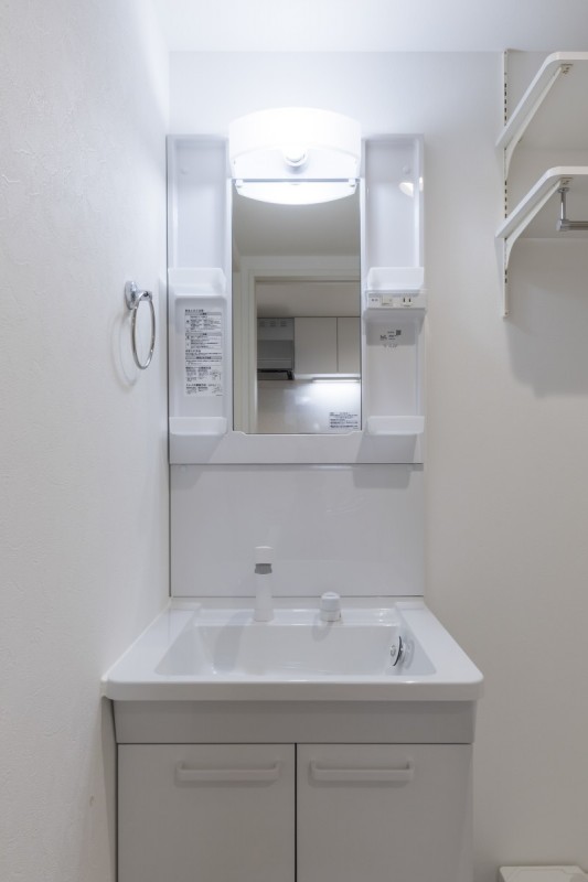 Ｌａ　Ｌｕｃｅ　岩槻3階 洗面