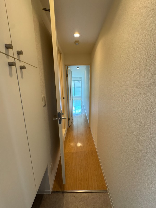 ルームス市川(E-073)2階 玄関