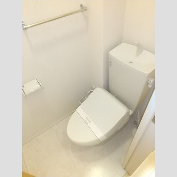 ロイヤルヒルズR107号室 トイレには棚があります