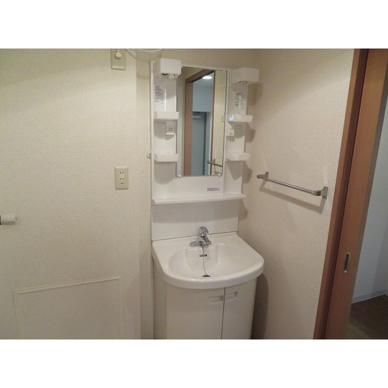 ノーザンハウス0104号室 独立洗面台