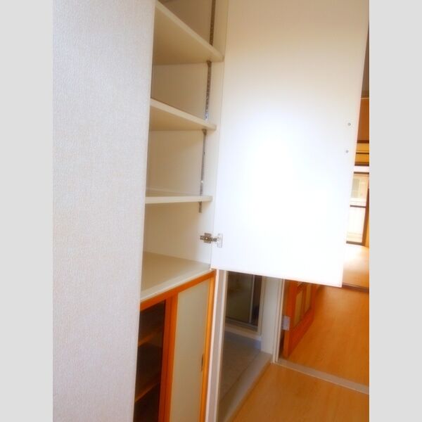 ティーワイパレス204号室 玄関