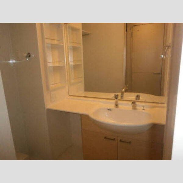 アメニティーコート 101 洗面台