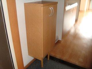 アリウス川崎 玄関（イメージ）