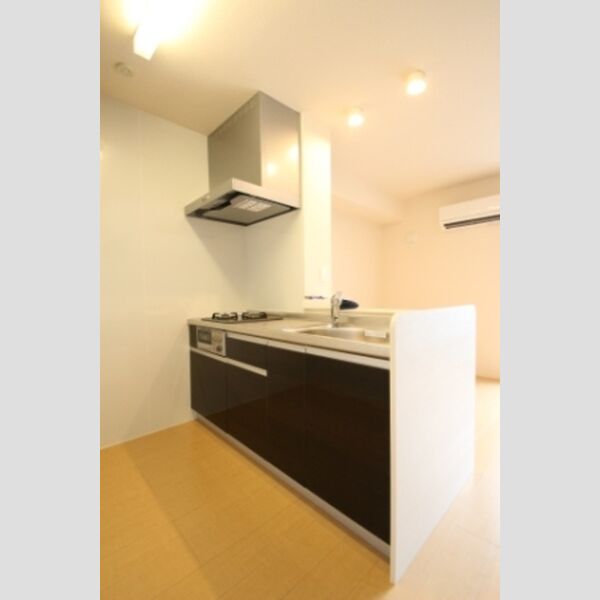 ウィットセイワ 202　キッチン