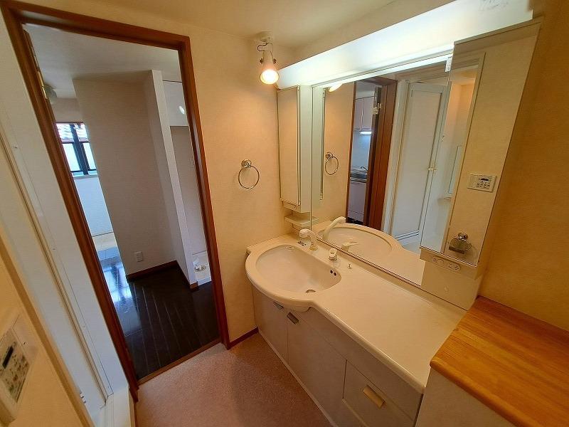 トレジャー霞ヶ関2階 洗面