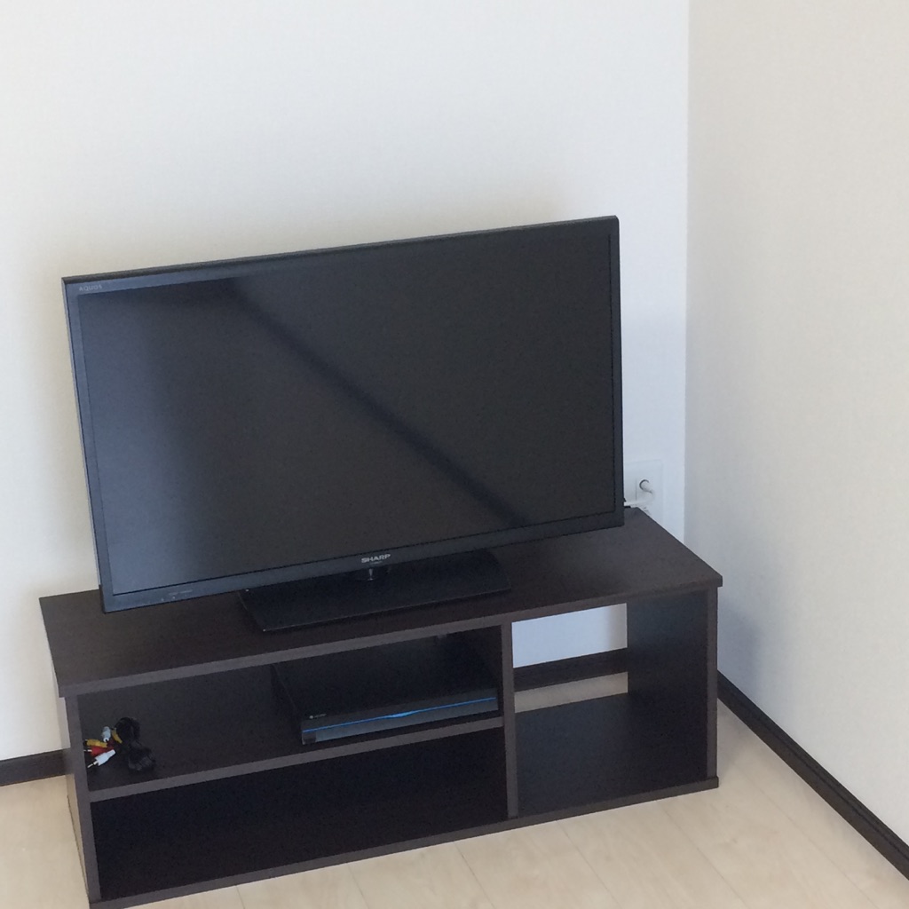 レオネクストヴィラージュ碧水Ⅱ101号室 部屋その他