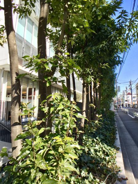 ＳＳ－Ｄ6階 部屋その他