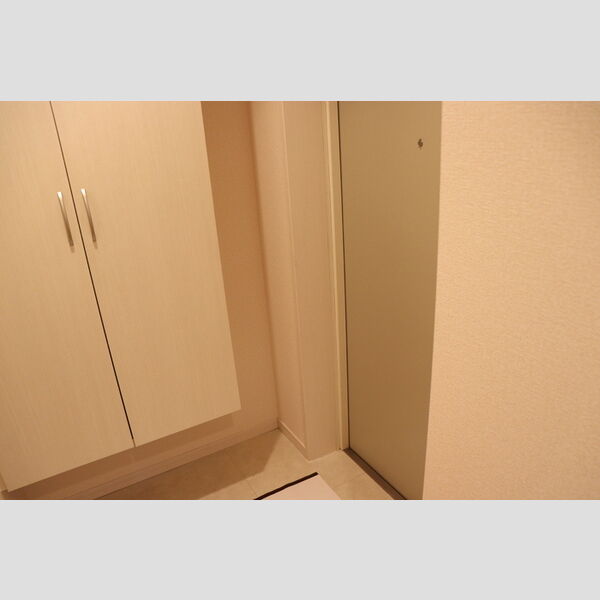 A8701号室 玄関