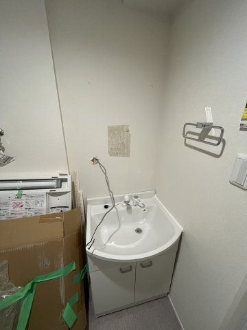 ハーモニーテラス北小岩ⅩⅧ0201号室 洗面