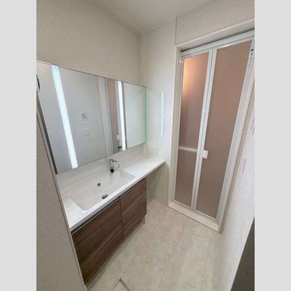 ゼラニウム湘南台103号室 洗面所