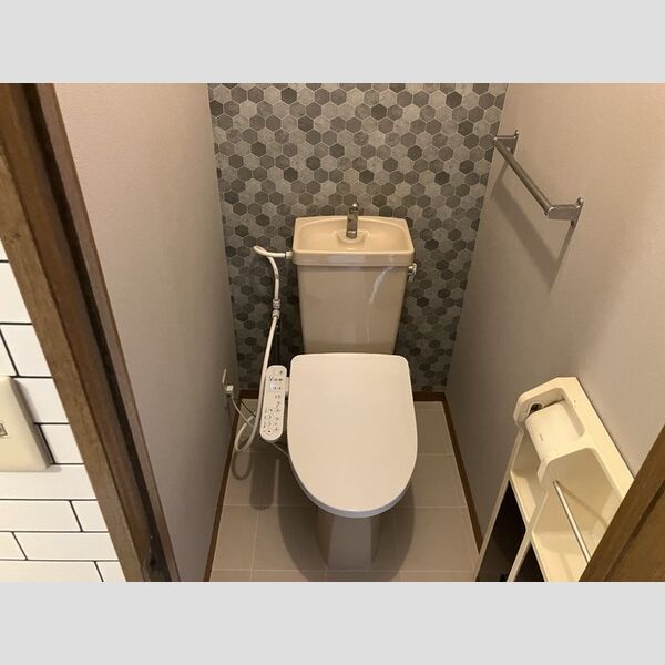 ラフィネ池之端303号室 トイレ