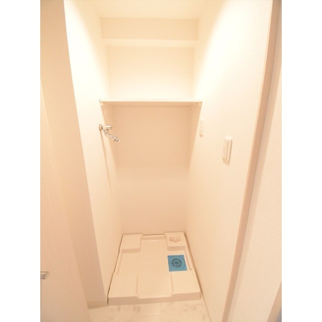 ガーラプレイス八幡山壱番館0314号室 室内洗濯機置場