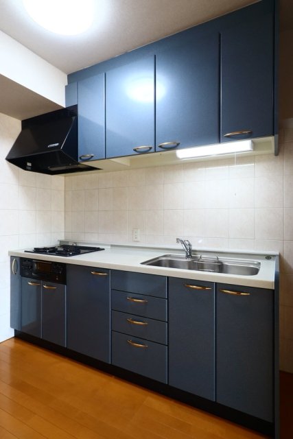 デュオ・スカーラ中野坂上 キッチン