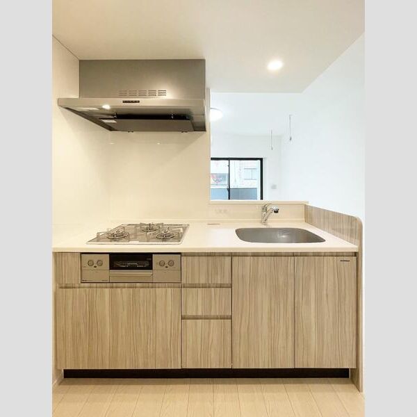 S-RESIDENCE駒沢大学駅前201号室 キッチン