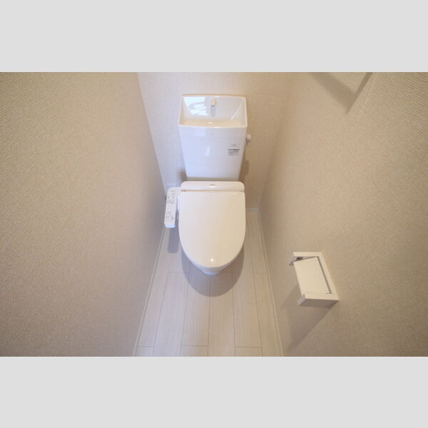 アンジュール新田305号室 トイレ