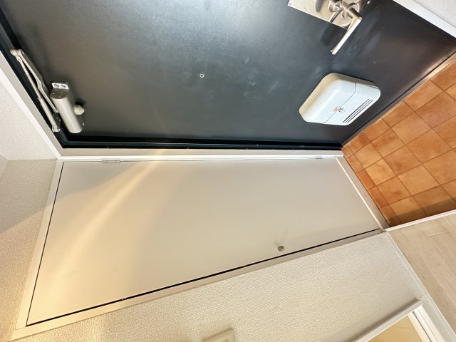 サンビレッジ伊勢原602号室 玄関
