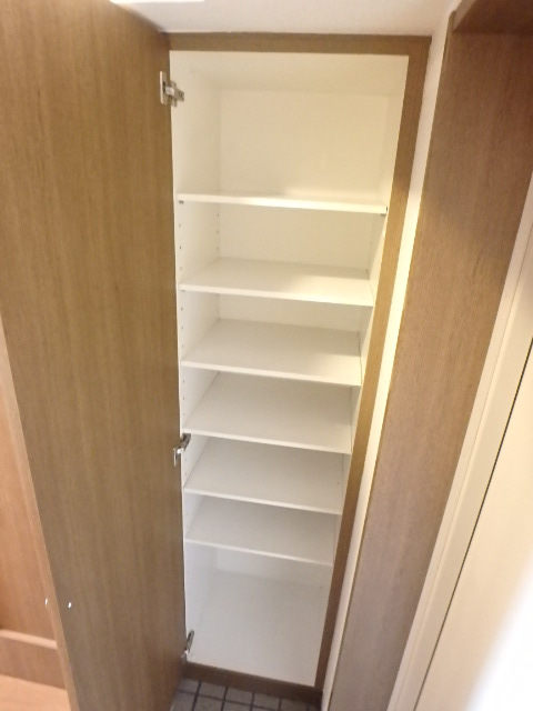 グランド・ガーラ渋谷松濤 小物を収納するのに便利です