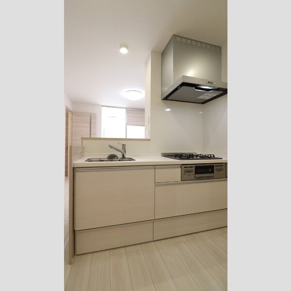 ビーネ北坂戸101号室 システムキッチン