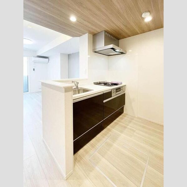 グラナーデ興野101号室 キッチン