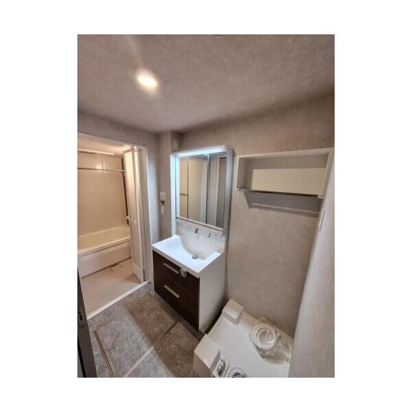 ヒンメルブラウ　野方303号室 洗面