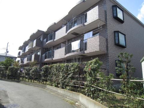 フローラ湘南Ａ棟0301号室 外観