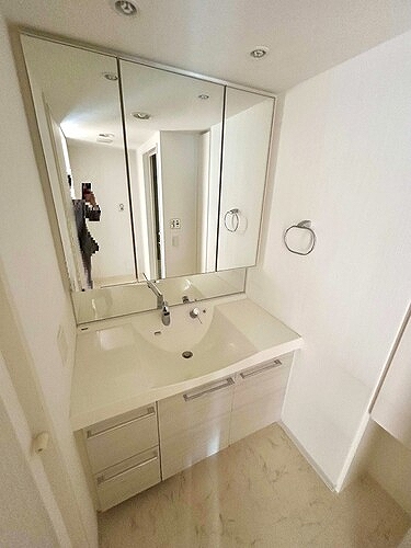 ルイシャトレ川口レックスフォート 洗面所