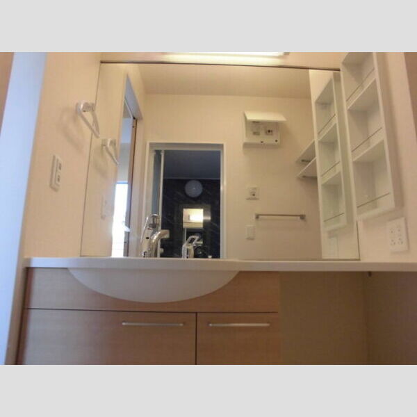 セジョール北鴻巣103号室 洗髪洗面化粧台