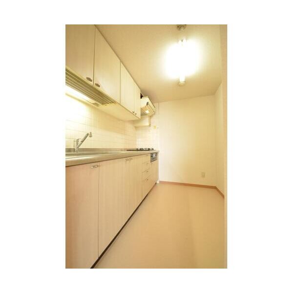 エトワール多摩川502号室 キッチン