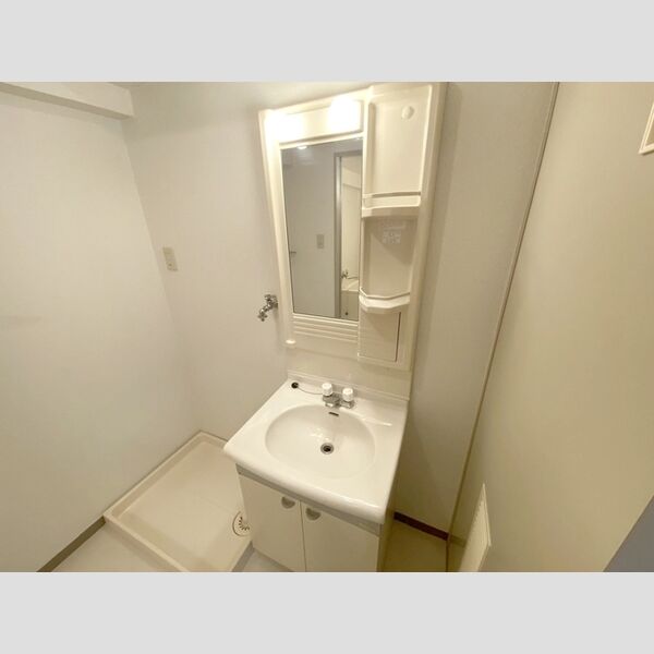 エクセルハイム海宝 洗面所