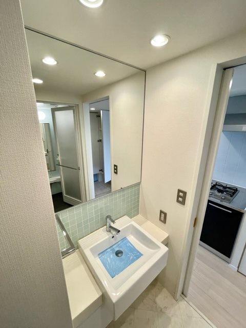 レジディア錦糸町Ⅱ3階 洗面
