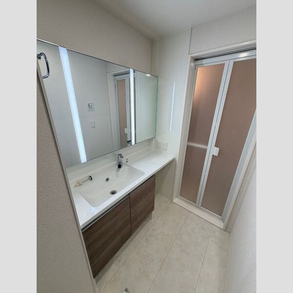 アンスリウム湘南台203号室 洗面所