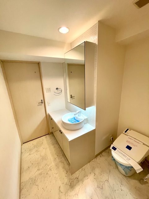 ピアネッタ汐留 洗面