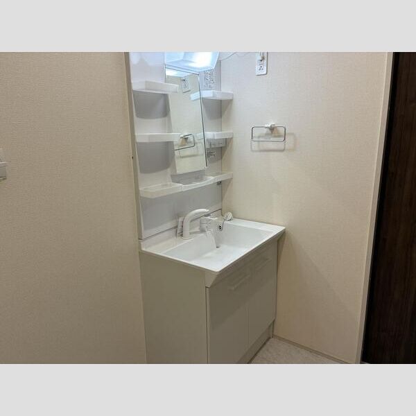 リーブルファイン若葉桜木101号室 洗面