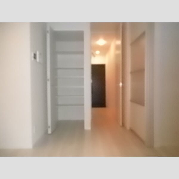 アンジュール北町203号室 収納
