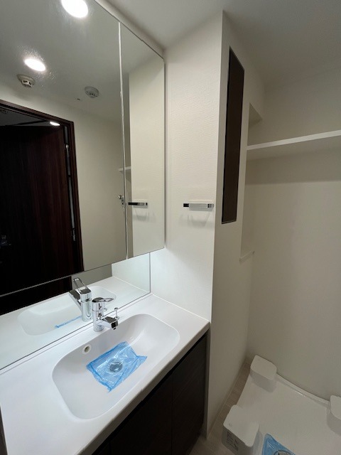 ドゥーエ池袋 洗面