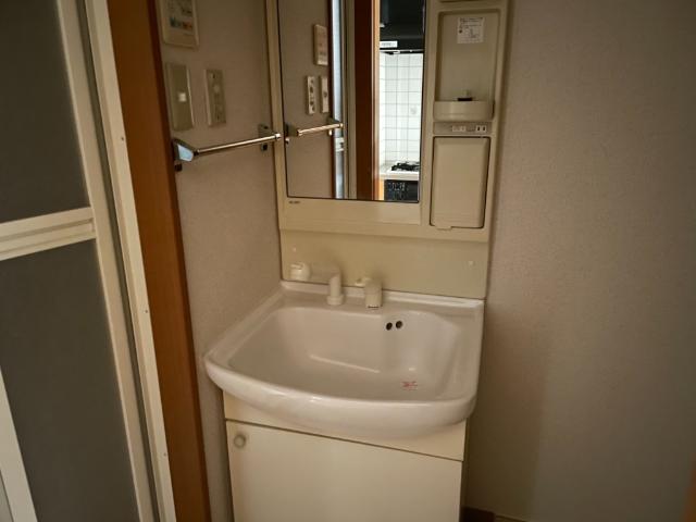 パレスサントピアⅤ205号室 洗髪洗面化粧台