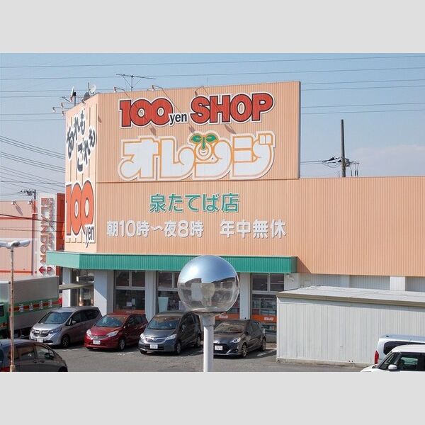 ロイヤルクレスト　Ⅲ202号室 100円ショップ