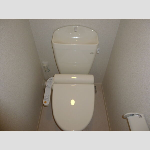 メゾン・ドゥ・ロジェ305号室 トイレ