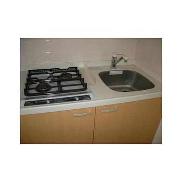 ダイヤモンドレジデンス勝どき401号室 キッチン