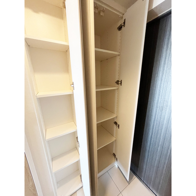 ブランシエスタ横浜高島町1203号室 玄関