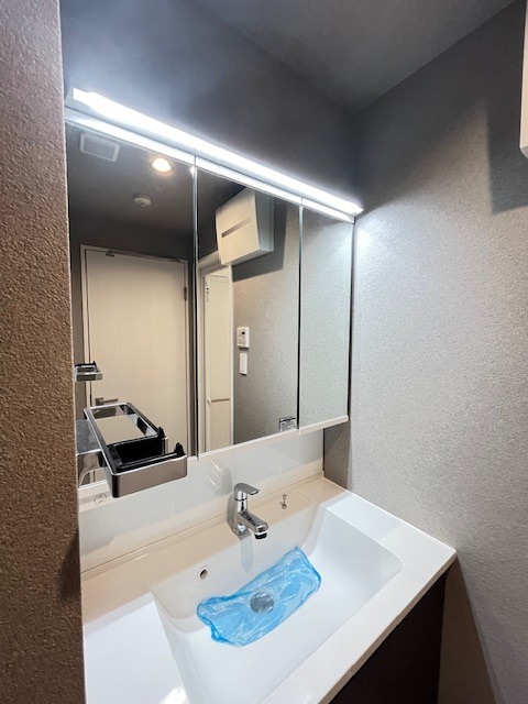 レジディア目白7階 洗面