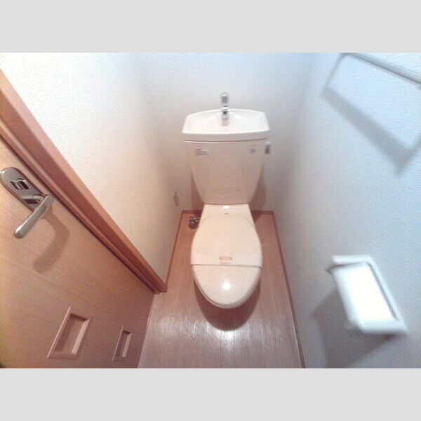 シェドプール トイレ